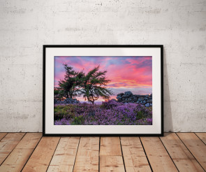 To buy a print or any of the below please click on the images